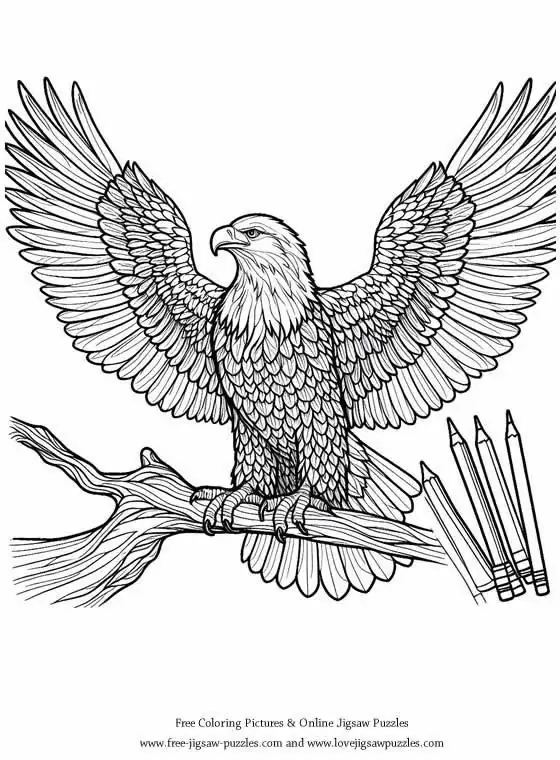 Bald Eagle picture for coloring and printing - Free Picture 15