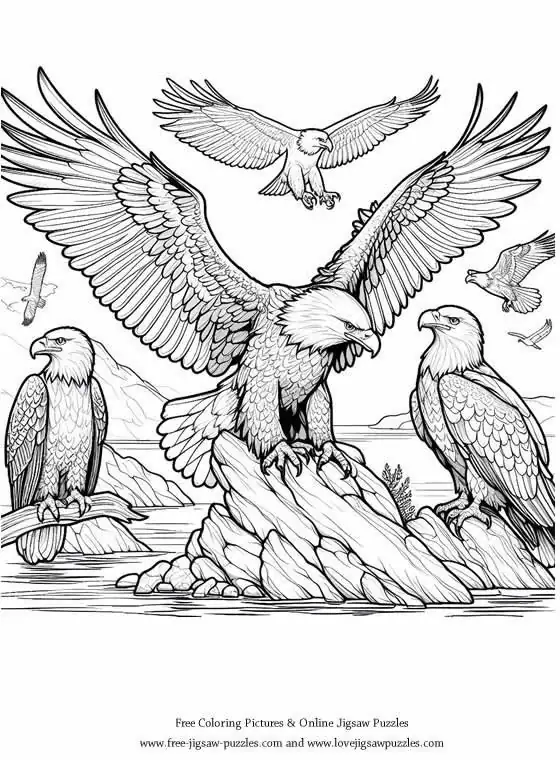 Bald Eagle picture for coloring and printing - Free Picture 16