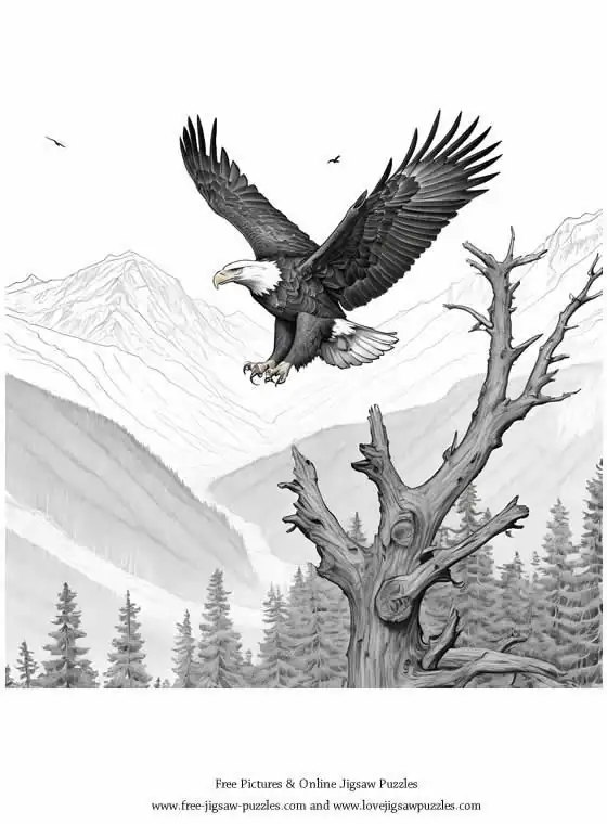 Bald Eagle picture for coloring and printing - Free Picture 5
