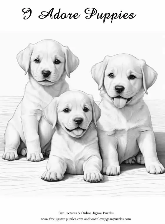 Dog Coloring Picture 20