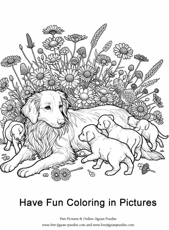 Dog Coloring Picture 27