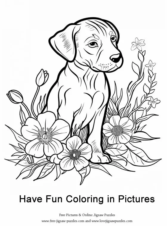 Dog Coloring Picture 28