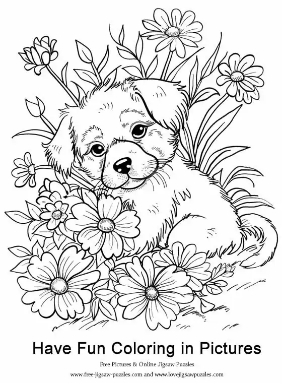 Dog Coloring Picture 29