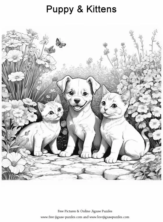 Dog Coloring Picture 3
