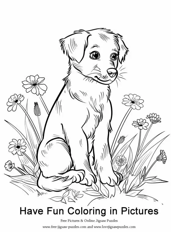 Dog Coloring Picture 31