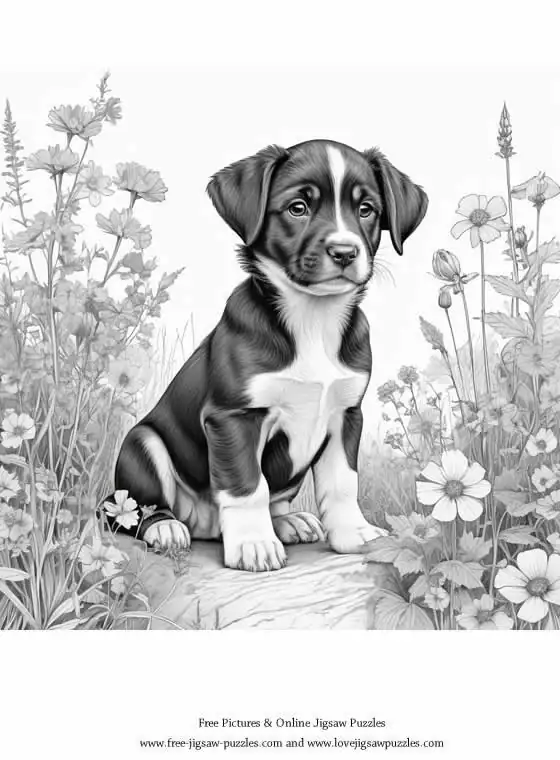 Dog Coloring Picture 6