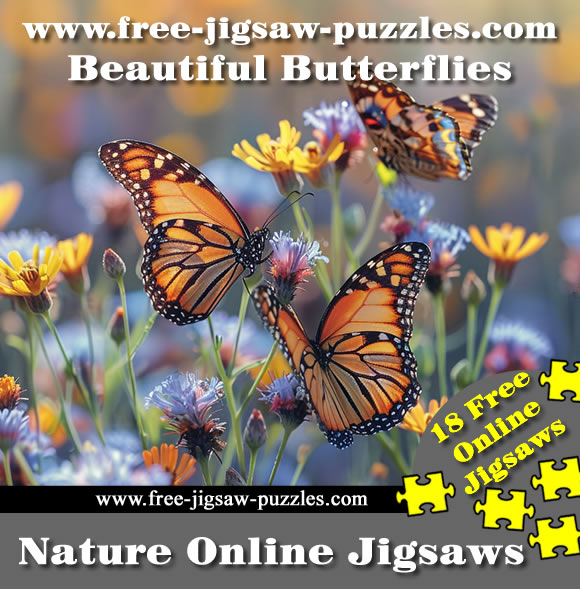 Butterfly Jigsaw Puzzle 4 - 18 jigsaws