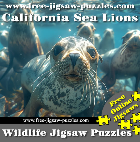 California Sea Lions jigsaws | 21 online jigsaws