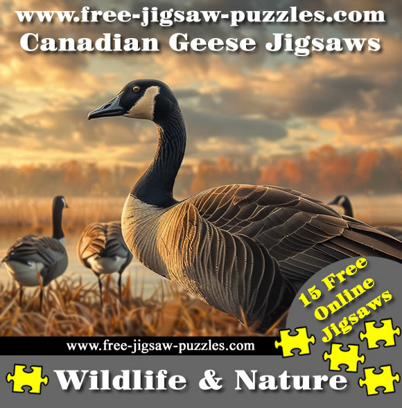 Canadian Geese Jigsaw