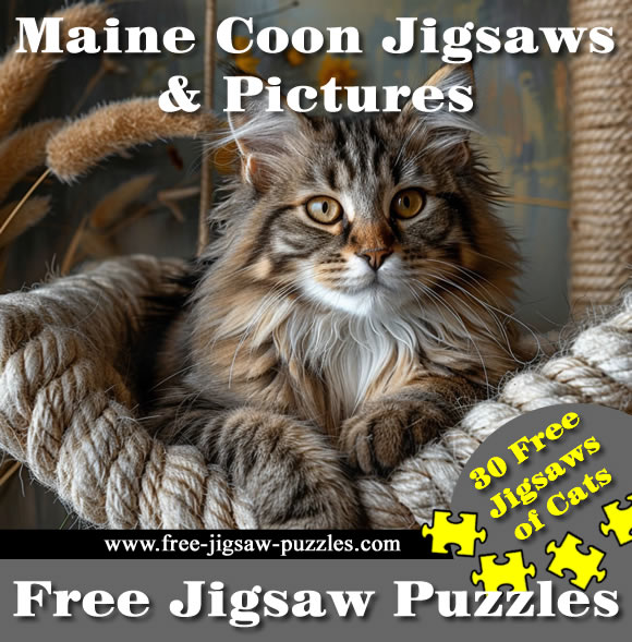 Maine Coon Cats | Cute and Funny Cat Jigsaws