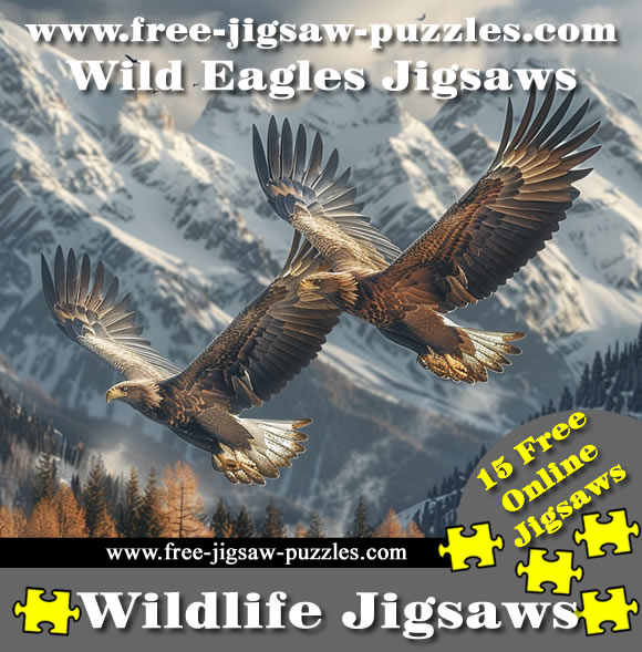 15 Wild American Eagles online jigsaws