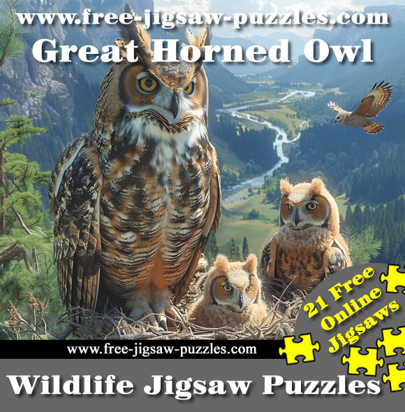 Great Horned Owl in the wild jigsaws | 21 jigsaws