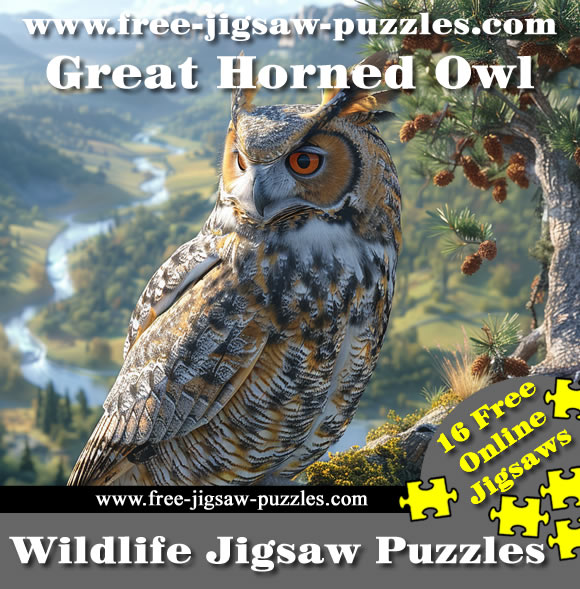 Great Horned Owl | 16 jigsaws